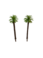 עצי דקל למודל דגם 5