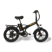 אופניים חשמליים פט Kalofan Master 48V 13AH