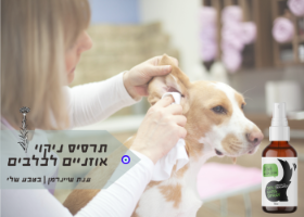 DOLITAI|תרסיס ניקוי לאוזניים כלבים
