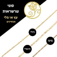 שרשרת מגן דוד עם חי בשילוב ננו תנ"ך