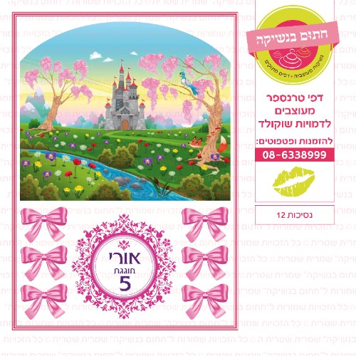 נסיכות 12 קיר