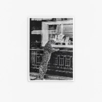הדפס על קנבס תצלום אופנה וינטג' של צ'יטה בחלון ראווה של קרטייה | צילום אופנה שחור לבן אלגנטי ויוקרתי