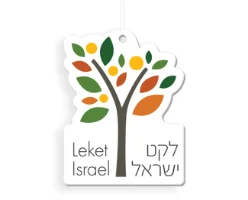 ריחנית ממותגת לרכב בחיתוך מיוחד