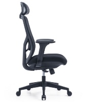 כיסא אורטופדי Seatplus Bold Plus מבית קיסר Keisar לתמיכה מותאמת ולישיבה נוחה