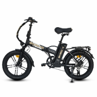 אופניים חשמליים - Extreme Classic Pro 48V 13AH גלגל 3"