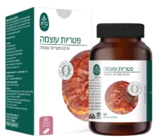 פטריות עוצמה