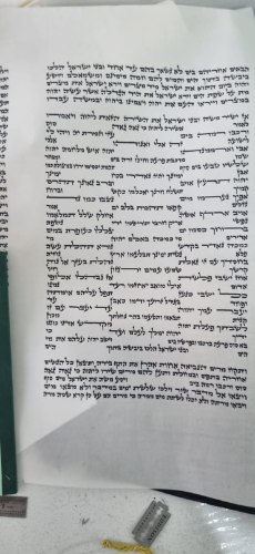 ספר תורה נוסח הארי -36 סמ- מוכן סיום כתיבה א אדר תשפד