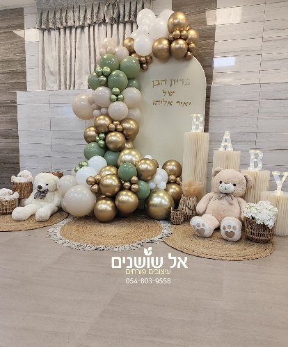 קיר צילום שער בלונים - הזמנה בתיאום אישי בלבד