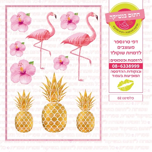 פלמינגו 02