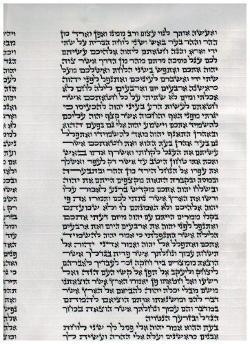 קלף לספר תורה נוסח אשכנזי