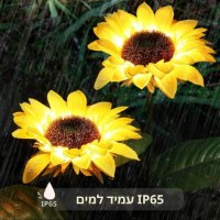 תאורת-פרחים-סולארית-3