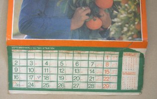 לוח שנה משנת 1979, הדרי פז, חברה לשיווק פרי הדר וינטאג' ישראל 1979