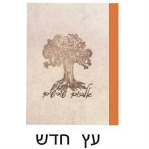 קלסר שורשים 2 טבעות-MDF שמרדף+נספח עץ ללא דפים N(מיקס צבעים