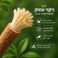 מקל מיסוואק טבעי לניקוי והלבנת  השיניים