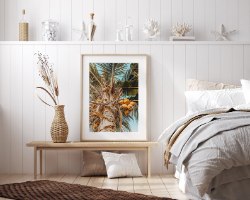 תמונת קנבס עץ קוקוסים | תמונת קנבס בודדת או לשילוב בקיר גלריה | תמונות לבית ולמשרד