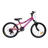 אופניים 20" BIG BIKE שלדה ברזל 7 הילוכים וורוד בולם קדמי