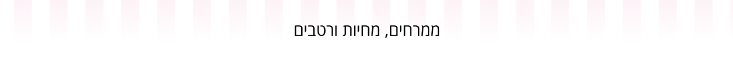 ממרחים, מחיות ורטבים - עדי כהן - מוצרים וחומרי גלם לאפיה 