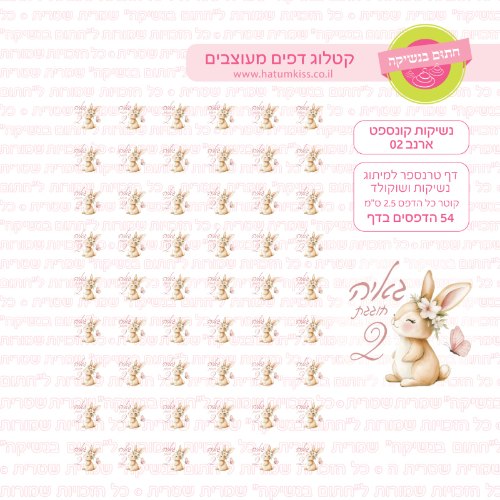 נשיקות קונספט ארנב 02 אישי- טרנספר