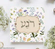 רוגע