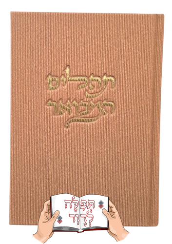 תהילים קורדרוי צבע כתום