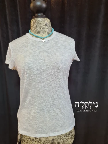 טי בייסיק מולטי