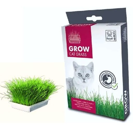 ערכת גידול דשא לחתולים
