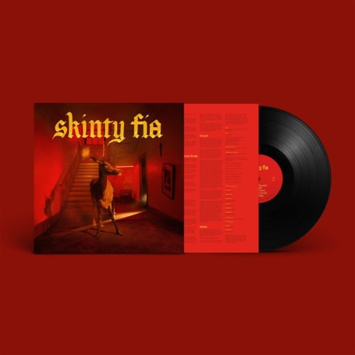 FONTAINES D.C. / SKINTY FIA -DELUXE-