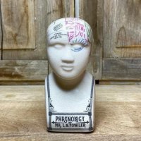 פסל פסיכולוג וינטג' Phrenology  - מארז לא מושלם