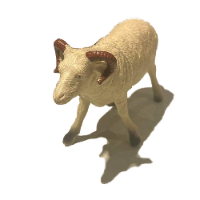 דמות כבשה גודל 16 ס''מ