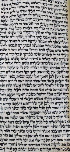 מגילת אסתר הגר