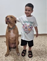 חולצת ANIMAL LOVER שרוול קצר לילדים