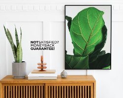 תמונת קנבס צילום עלה טרופי  "Plants Soul" |בודדת או לשילוב בקיר גלריה | תמונות לבית ולמשרד