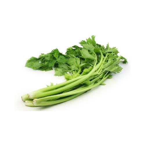 סלרי עלים