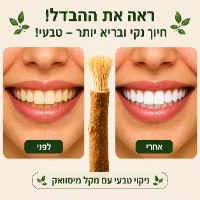 מקל מיסוואק טבעי לניקוי והלבנת  השיניים