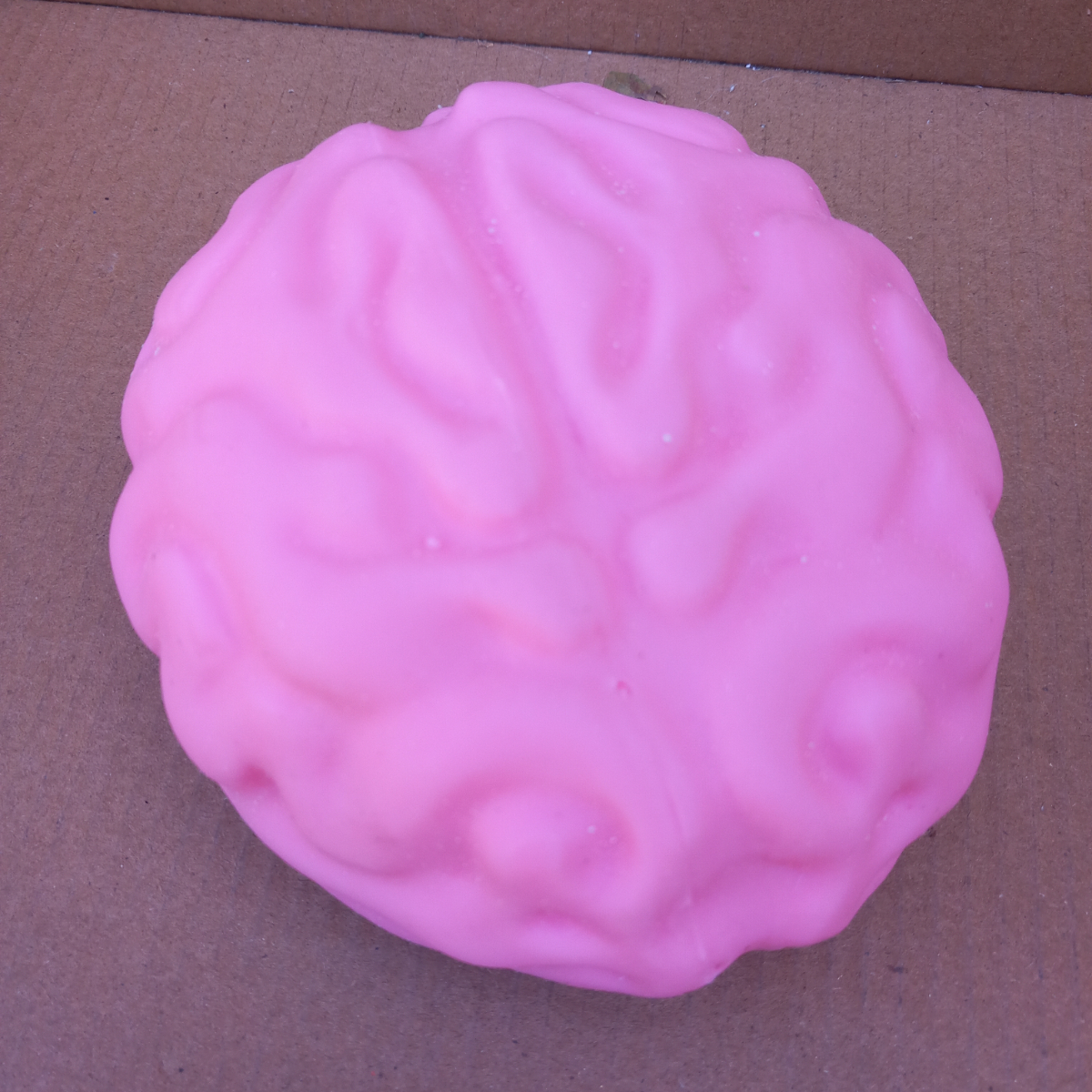 סקווישי  נידו מוח  גדול - Squishy Nido Brain  YYP-106-3