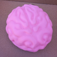 סקווישי  נידו מוח  גדול - Squishy Nido Brain  YYP-106-3