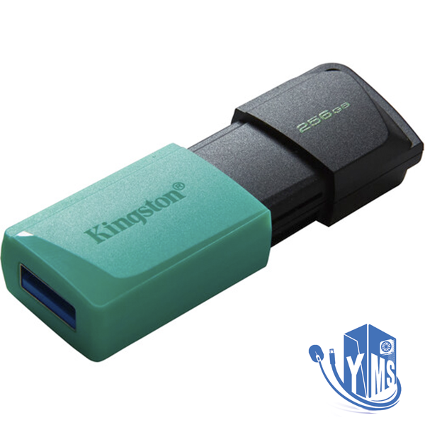 זכרון נייד Kingston DataTraveler Exodia M 256GB USB3.2