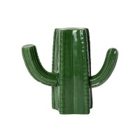 קקטוס קיסמים Cactus - מארז לא מושלם