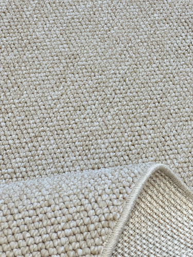 Sahara