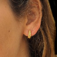 Stud Earrings with 5 Diamonds