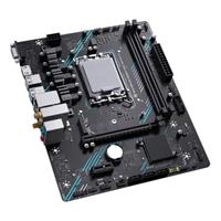 MAXSUN H610M 666 WiFi 6 D5