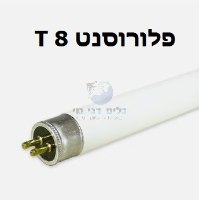 נורות פלורוסנט לבן קר T8 באורך 120 ס"מ 36W