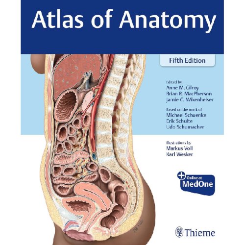 Gilroy - Atlas of Anatomy 5th edition