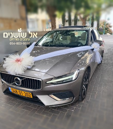 קישוט רכב צורת חץ 6 פונפון