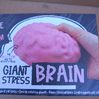 סקווישי  נידו מוח  גדול - Squishy Nido Brain  YYP-106-3