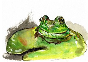 צפרדע חייכנית- הדפס של איור דיו מקורי מאת ויקי תיהמת/ ויקינגית