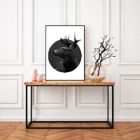 תמונה של אייל מודפס על קנבס איכותי מתוח על מסגרת עץ + מסגרת דקורטיבית ללא עלות| "אייל ללא גבולות"