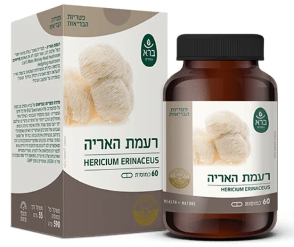 כמוסות רעמת האריה | Hericium erinaceus