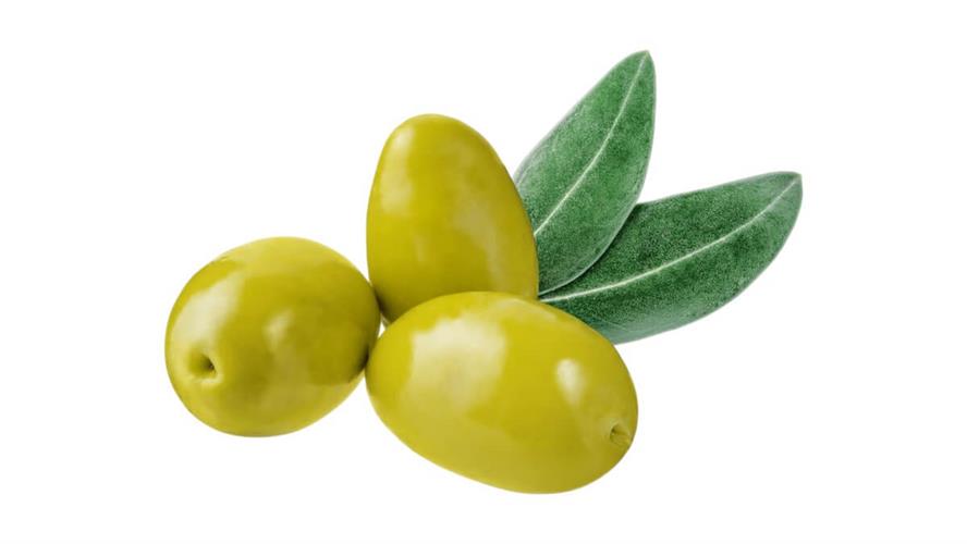 זית איטלקי במליחות מעודנת