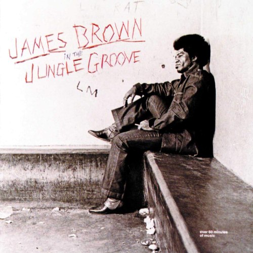 JAMES BROWN/IN THE JUNGLE GROWN - 2LP